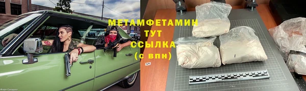 шишки Белокуриха