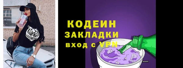 шишки Белокуриха